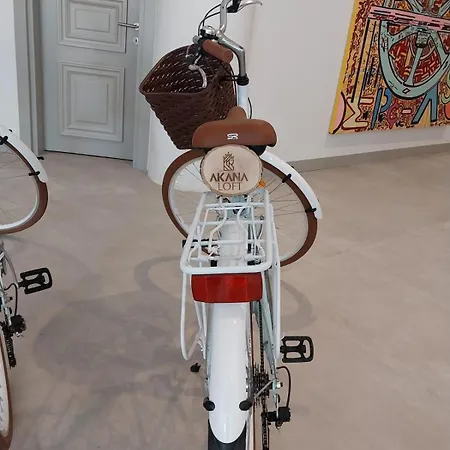 Akana Loft Apartmanhotel 4*