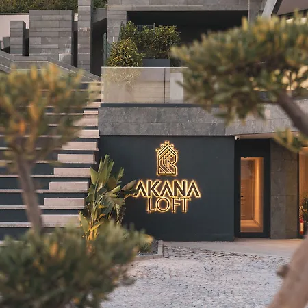 Akana Loft Apartahotel 4*