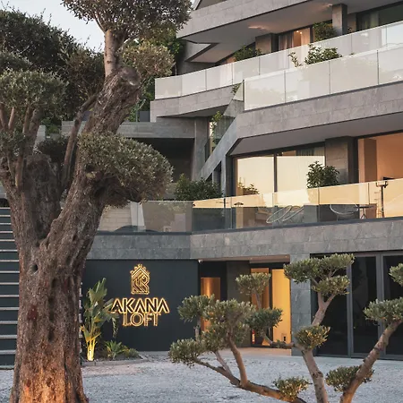 Akana Loft Apartahotel 4*