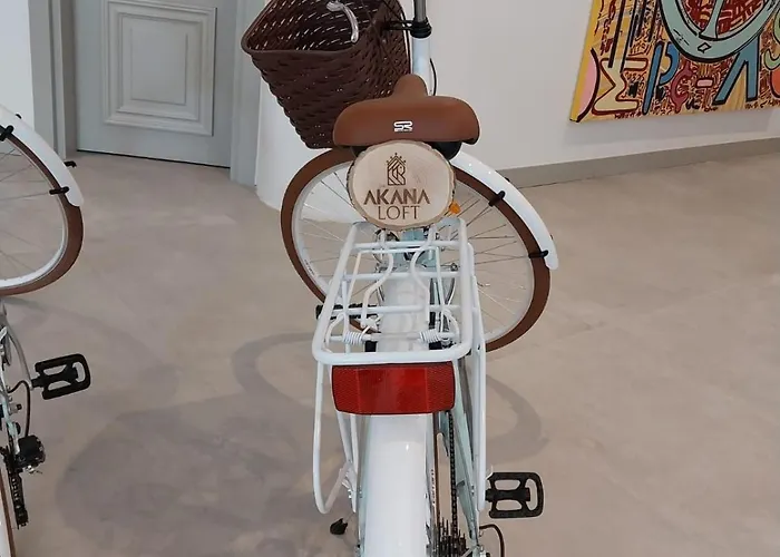 Akana Loft Апарт-отель 4*